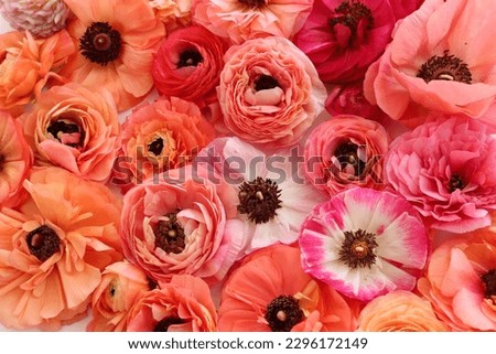 Top view background of pink flowers composition