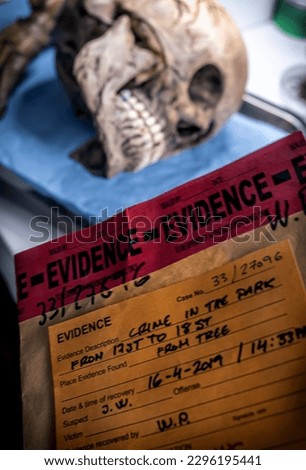 Scientific evidence bag next to human remains in a forensic laboratory, conceptual image Royalty-Free Stock Photo #2296195441