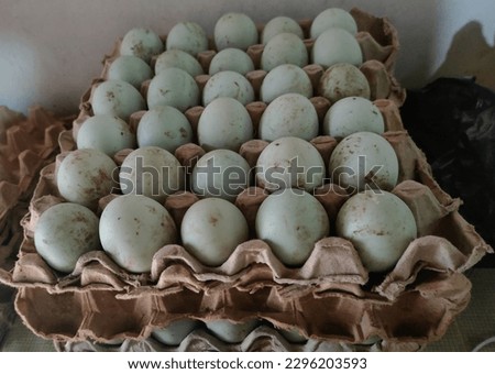 duck eggs in a tray