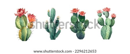 Set of watercolor green cactus isolated on white background. Desert flower, garden plant, tropical summer elements. Vector illustration Royalty-Free Stock Photo #2296212653