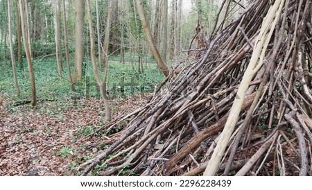 Shelter in the form of a tent, tipi or hut formed from several sticks or tree branches, on a tree trunk, sheltered from the sun and rain, natural and human construction, fun and entertainment