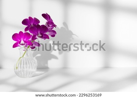 Sprig of purple orchid in vase on white background with bright lighting, copy space, horizontal photo. Flower silhouette and barely visible shadow stripes on wall. Orchidaceae, minimalist aesthetic.