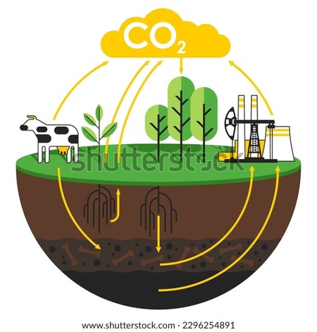 Carbon dioxide cycle diagram - animals, plants, soil and energy industry. Isolated visual aid for scientific articles Royalty-Free Stock Photo #2296254891
