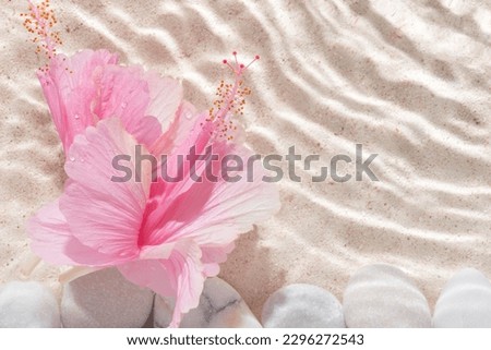 hibiscus and stones with shadow over sand background, in water, abstract spa background concept banner for cosmetic body care product.
