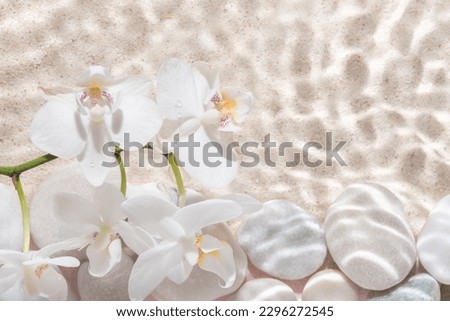 white orchid and stones with shadow over sand background, in water, abstract spa background concept banner for cosmetic body care product.