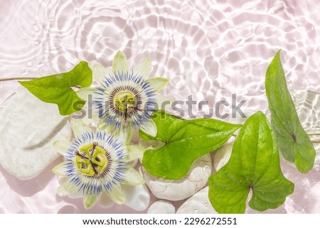 passionflowers and stones with shadow on abstract pink background, in water, abstract spa background concept banner for cosmetic body care product.