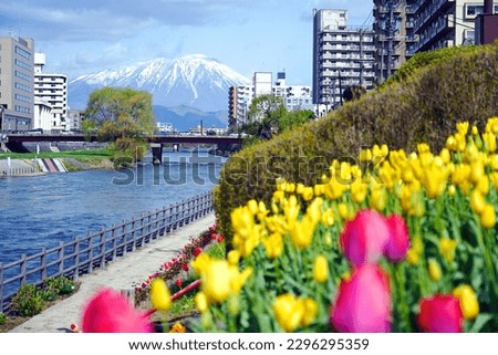 Beautiful morioka city view with Mt. iwate in the background and the Kitakami river flowing through the middle of town with flower gardens. Royalty-Free Stock Photo #2296295359