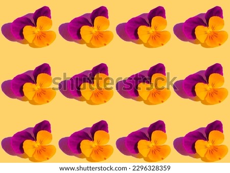 pansies flowers print on light orange background . High quality photo