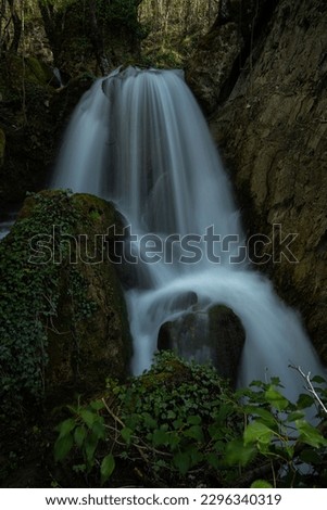 Mysterious waterfalls in the forest surrounded by moss and ivy