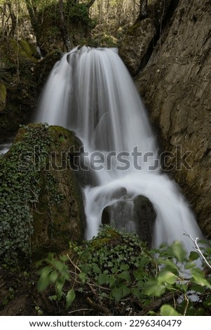 Mysterious waterfalls in the forest surrounded by moss and ivy