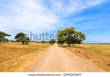 Baluran National Park, the safari of Indonesia located in the end of East Java Royalty-Free Stock Photo #2296345697