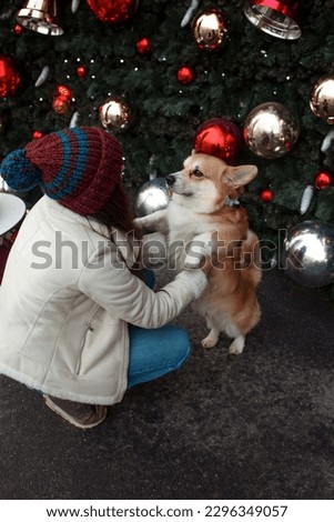 friends relationship. teen girl with her dog friend corgi outdoor near christmas tree background . christmas concept, free space