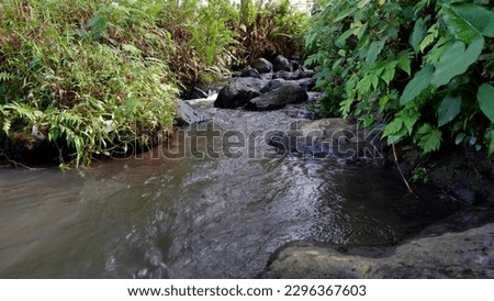 streams of clear water, flowing in various streams