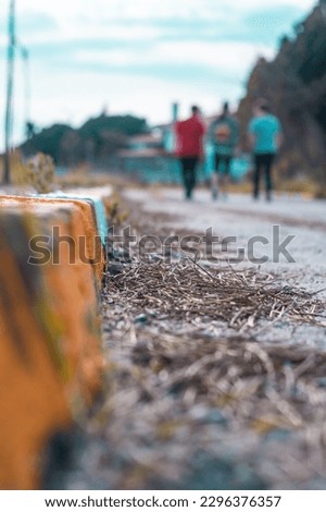 In the foreground, plant litter is in the background, three friends are walking along the coastline