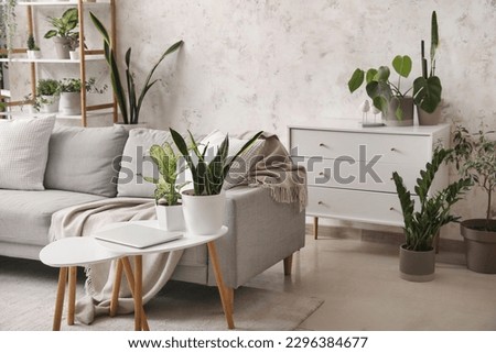 Interior of light living room with sofa, tables and green houseplants Royalty-Free Stock Photo #2296384677