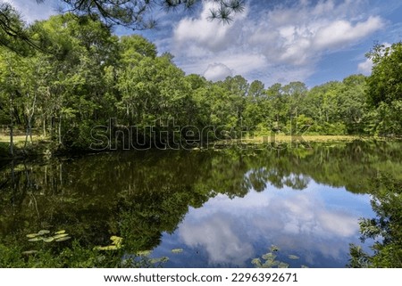 Reflections in the lake, Jacksonville Arboretum and Botanical Gardens Royalty-Free Stock Photo #2296392671