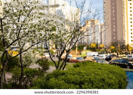 Beautiful spring blooming city landscape