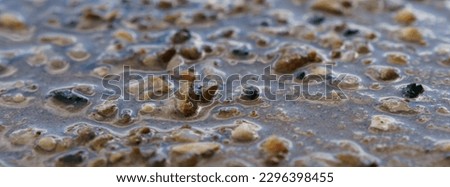 Selective focus. Macro photo of a beach. Small bright pebbles. Russian.Panoramic image