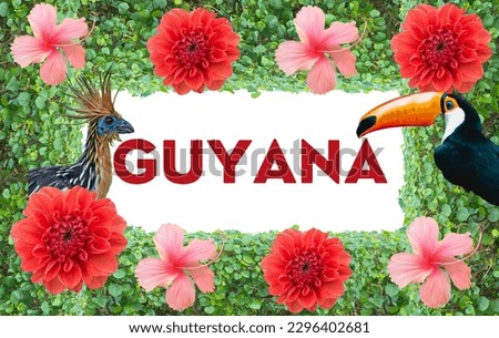 Welcome to Guyana. This Iconic Tourism photo features the national bird the Hoatzin or Canje Pheasant. A colorful. Toucan Hibiscus flowers and a green shrub border. A nice amazon rainforest scenery.