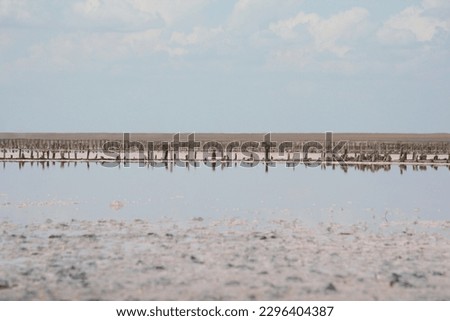 The Pink salt Lake. Arabatka bay. Ukraine Royalty-Free Stock Photo #2296404387