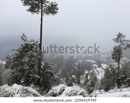 A picture in the valley of Murree covered with snow. There are tree in snowy valley.