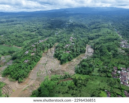 Aerial photo of a villager's residential landscape still surrounded by forest