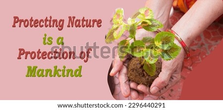 Banner written protecting nature is a protection of mankind text with plant on hand. spread awareness of protection and preserving of nature, plant, earth, and climate change concept. Royalty-Free Stock Photo #2296440291