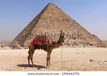 The Egyptian pyramids of the Giza necropolis Royalty-Free Stock Photo #2296443795