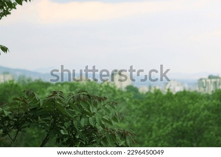 Forest and city Tree and city Trees and the city Garden and city Tehran from above Saad Abad Palace