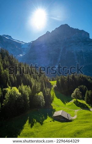 Landscape photo of Swiss Alps with clouds, meadow, wild flowers and green nature. 