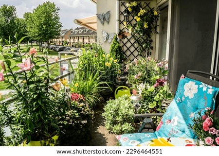 Growing flowers in flower pots and containers, selective focus. Summer flowers on the balcony garden. Greening the balcony. Urban gardening.	 Royalty-Free Stock Photo #2296464551