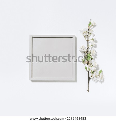 Beauty cosmetics product presentation flat lay mockup soft scene made with square shape and spring flowering branch. Ready layout for the presentation of your product. Square composition.