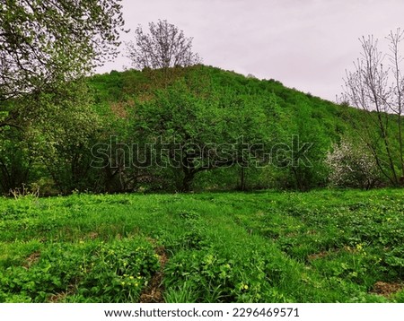 Different landscapes,
trees,
grasses pictures 