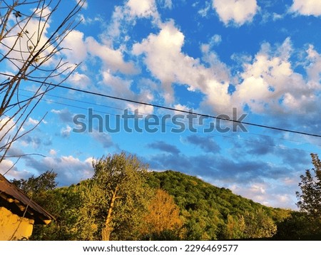 Different landscapes,
trees,
grasses pictures 