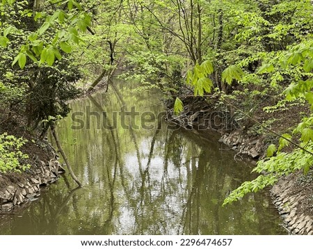 Small stream in a park in spring