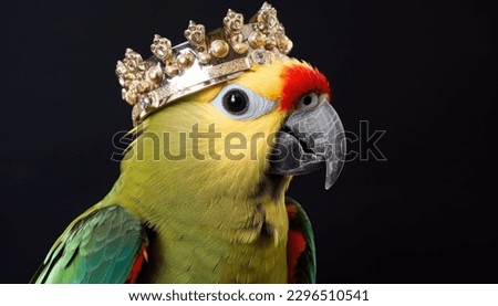 Close-Up of Beautiful Parrot in crown - Detailed Portrait of Colorful king Bird of exotic parrot's plumage