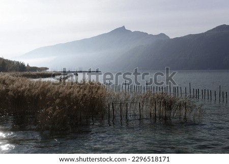 Mountain lake Bourget with Mont Dent du Chat peak on water horizon  Riviera des Alpes France
