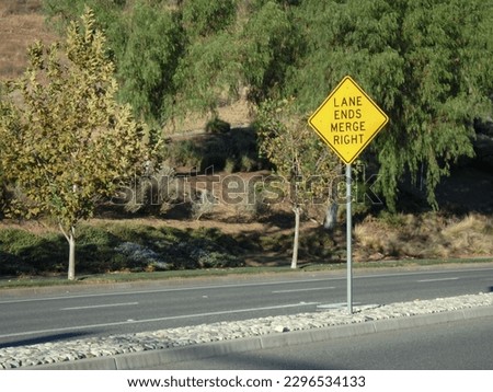 A yellow left lane ends erge right sign on center divider.