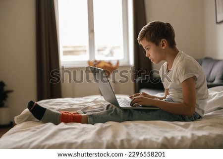 Young boy lies on the bed and looks into an open laptop. Home education concept