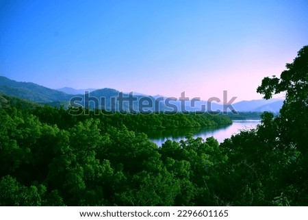 Photograph of a mangrove forest and beach at Metinaro, Dili, Timor Leste.