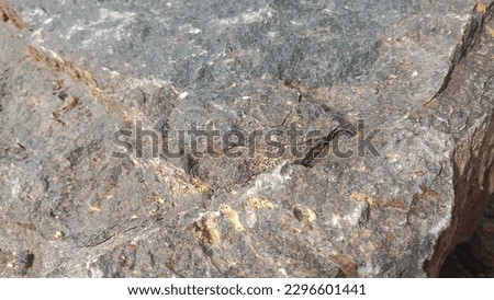 Big stone texture for background. High quality photos