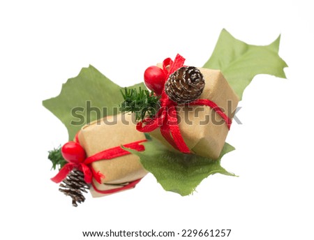 2 celebratory presents displayed on an isolated background with leaves