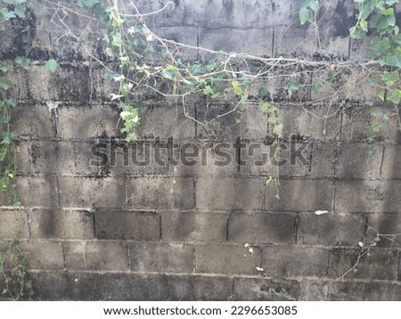 A brick wall built with vines