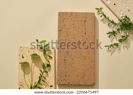 Flat lay of few rectangle stone podiums with different colors displayed with types of green leaves. Vacant space for natural product advertising