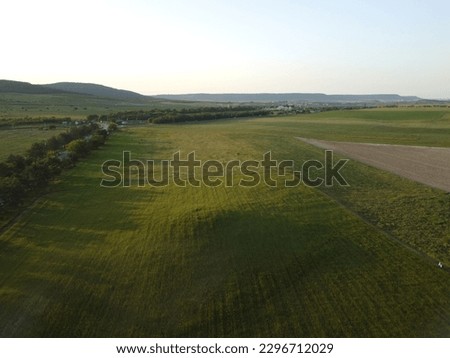 Aerial view on green wheat field in countryside. Field of wheat blowing in the wind like green sea. Young and green Spikelets. Ears of barley crop in nature. Agronomy, industry and food production.