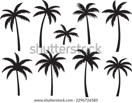 Black palms tree set vector images illustration on white background silhouette 
