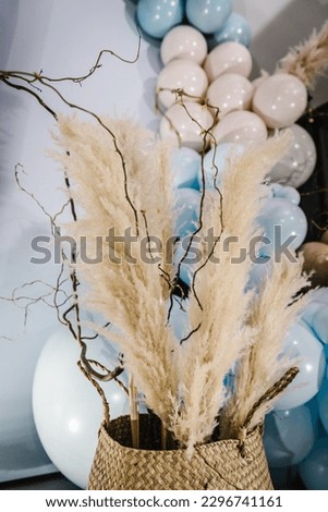 Trendy autumn decor, Straw basket with dry leaves. Details photo wall decoration with beige, brown, blue balloons. Celebration baptism concept. Birthday party for boy. Arch with background. Closeup.