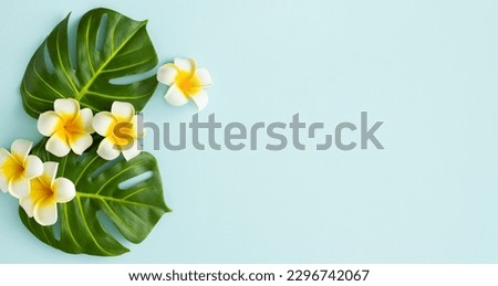 Summer background with tropical frangipani flowers and green tropical palm leaves on light background. Flat lay, top view.
