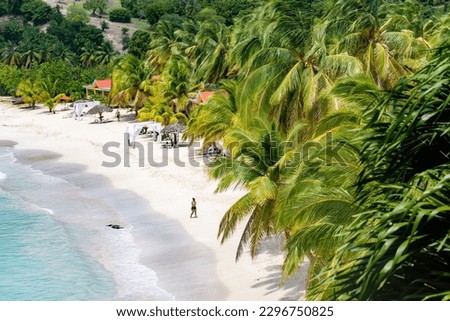 An aerial view of the shore of Ile a Vache in Haiti on a sunny day Royalty-Free Stock Photo #2296750825