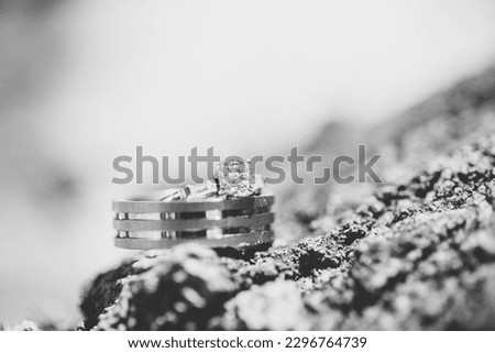 This stunning close-up image of wedding rings captures the beauty and symbolism of the cherished wedding tradition. The photograph features the bride and groom's wedding rings.